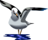 Landing Seagull Clip Art
